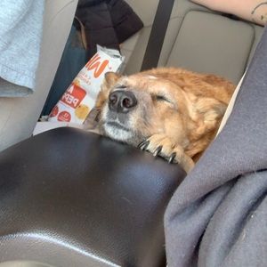 Meet your Posher, Jack